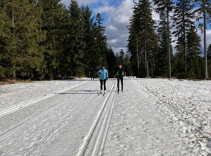 Bike&ski شقة Krosnowice